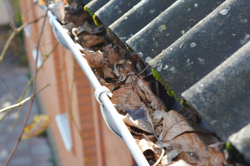 Clogged Gutter with Debris